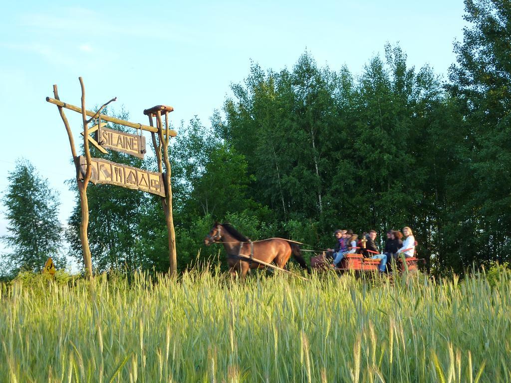 Silaine Recreation & Leisure Bed & Breakfast Oszkinie Exterior photo